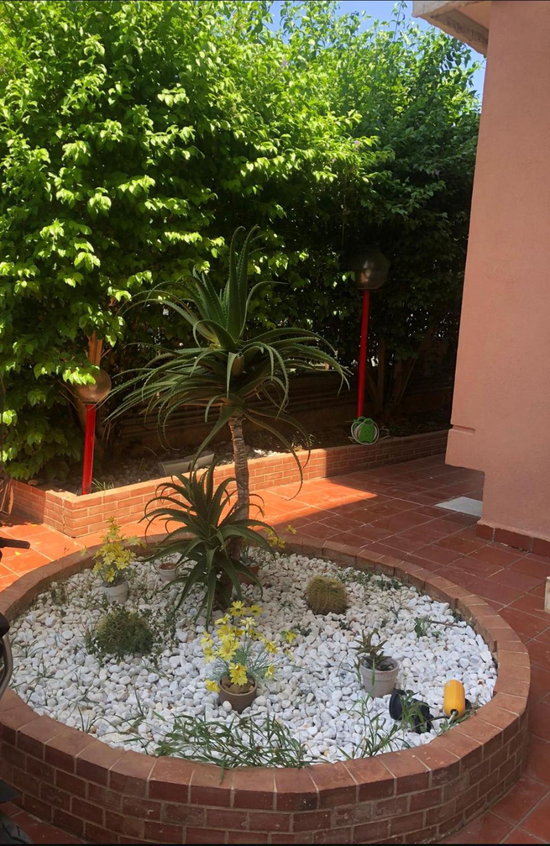 Apartmán Mondello House Lemon Palermo Exteriér fotografie