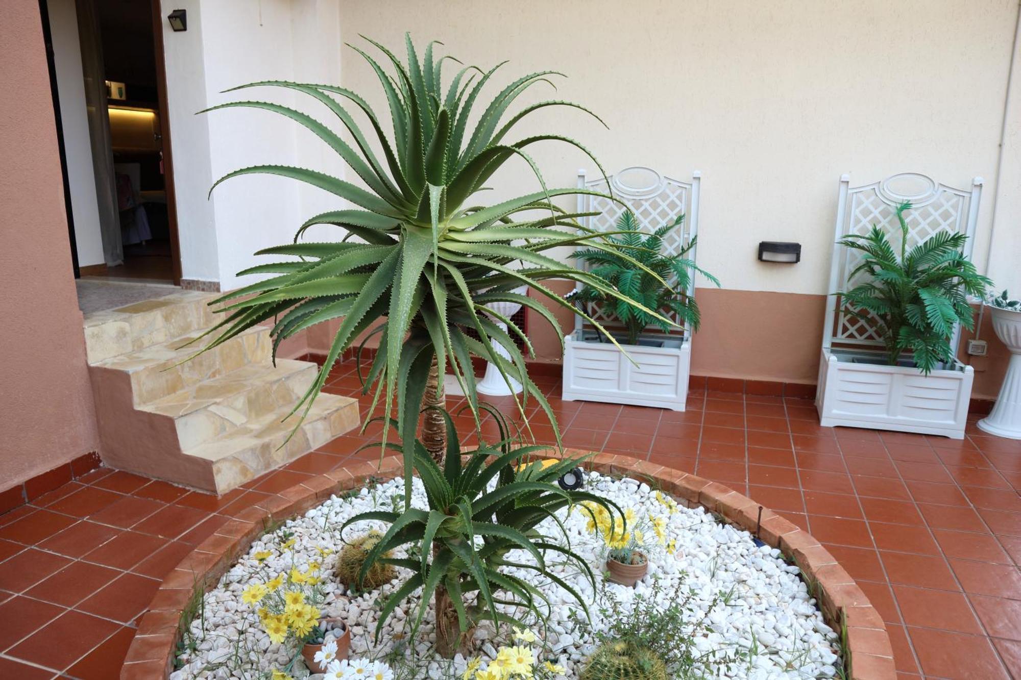 Apartmán Mondello House Lemon Palermo Exteriér fotografie